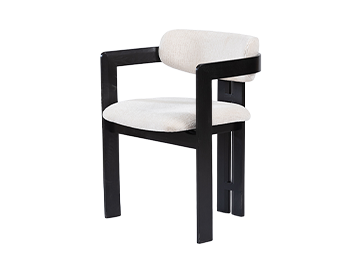 Modern Minimalist Armchair for Dining & Living Fashionable Home Furniture for Hotel & School for Offices