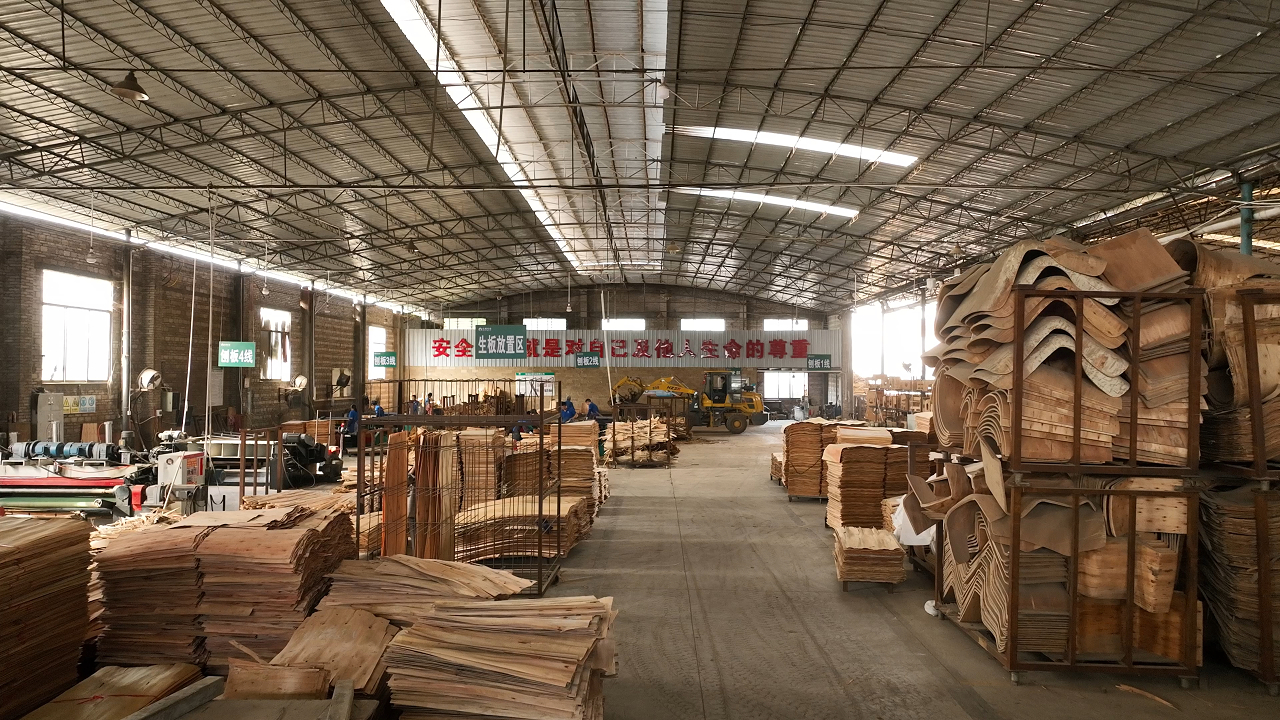 Real DALI Wood factory workshop with bent plywood materials and production area.