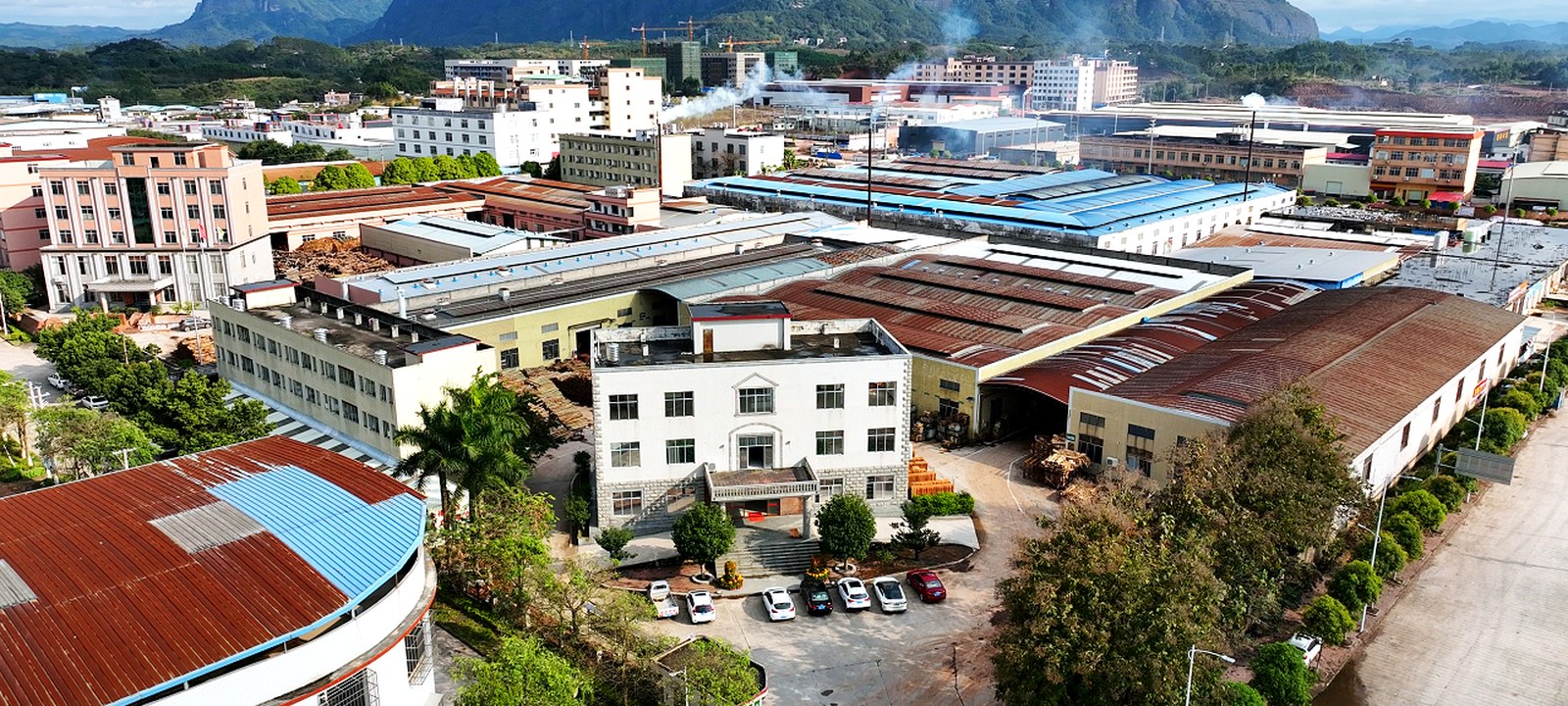 DALI Wood production base supporting molded plywood and curved plywood furniture components.