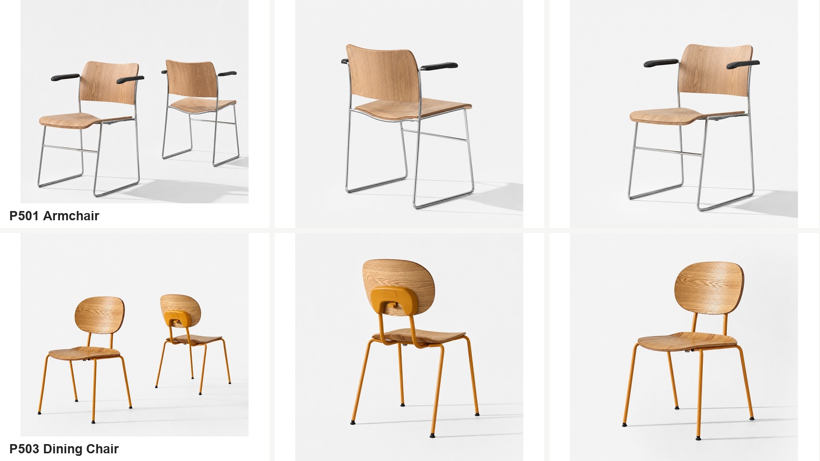 P501 armchair and P503 natural veneer dining chair shown from front, rear and side angles.