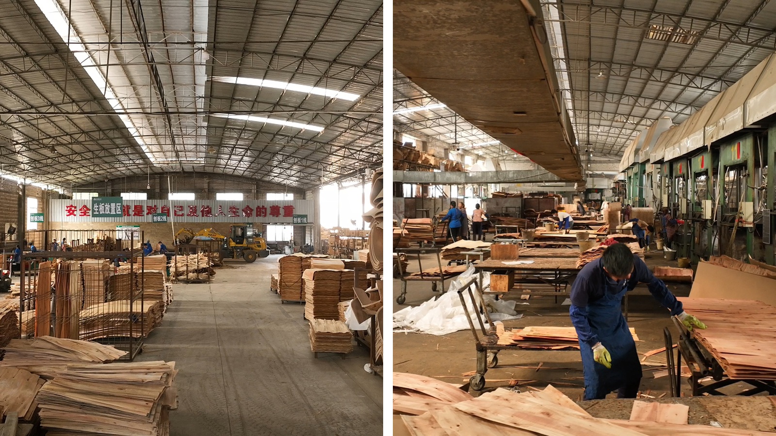 Two real DALI production workshops with veneer preparation and molded plywood pressing operations.