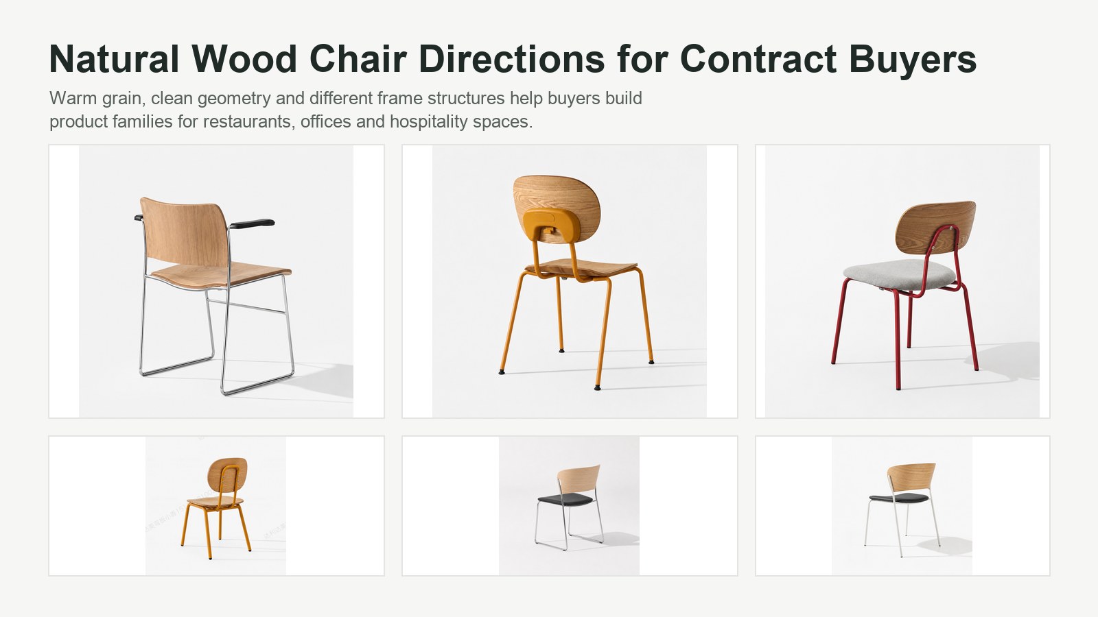 Natural wood dining and contract chair directions using molded plywood seats and backs for wholesale furniture buyers