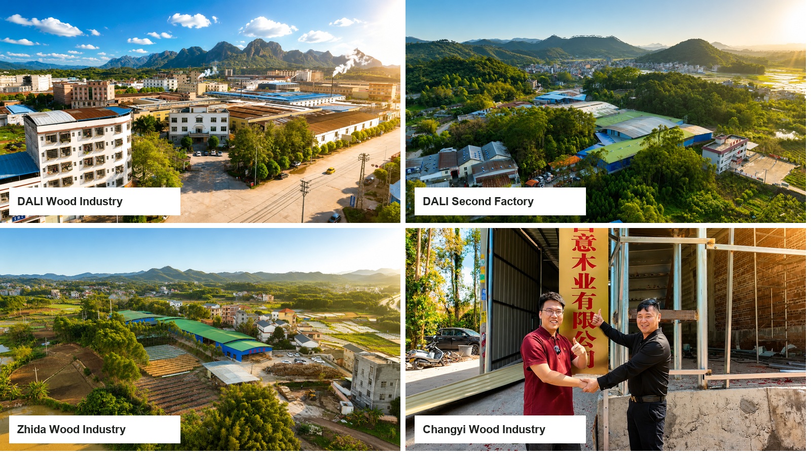 Four DALI manufacturing bases supporting custom molded plywood development and production.