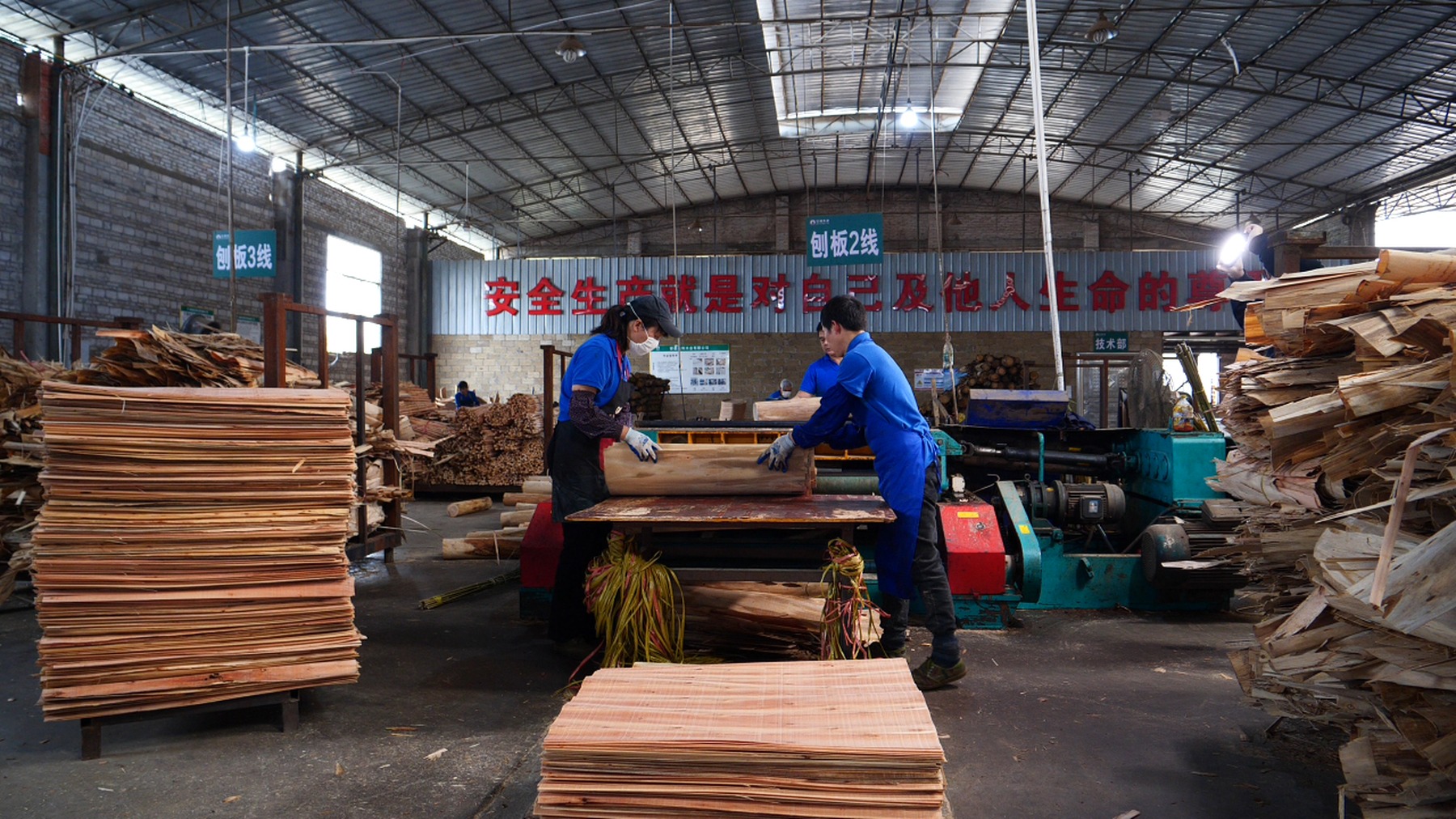 DALI factory workshop producing veneer for curved plywood furniture parts