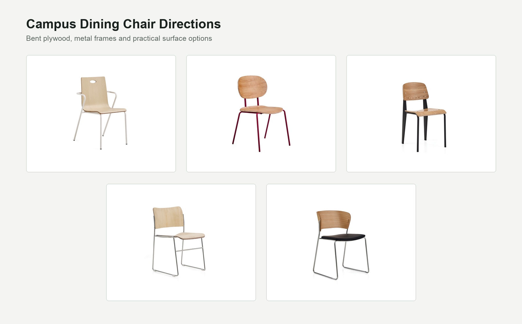 Five DALI campus dining chair options with exposed plywood seats, backs and metal frames.
