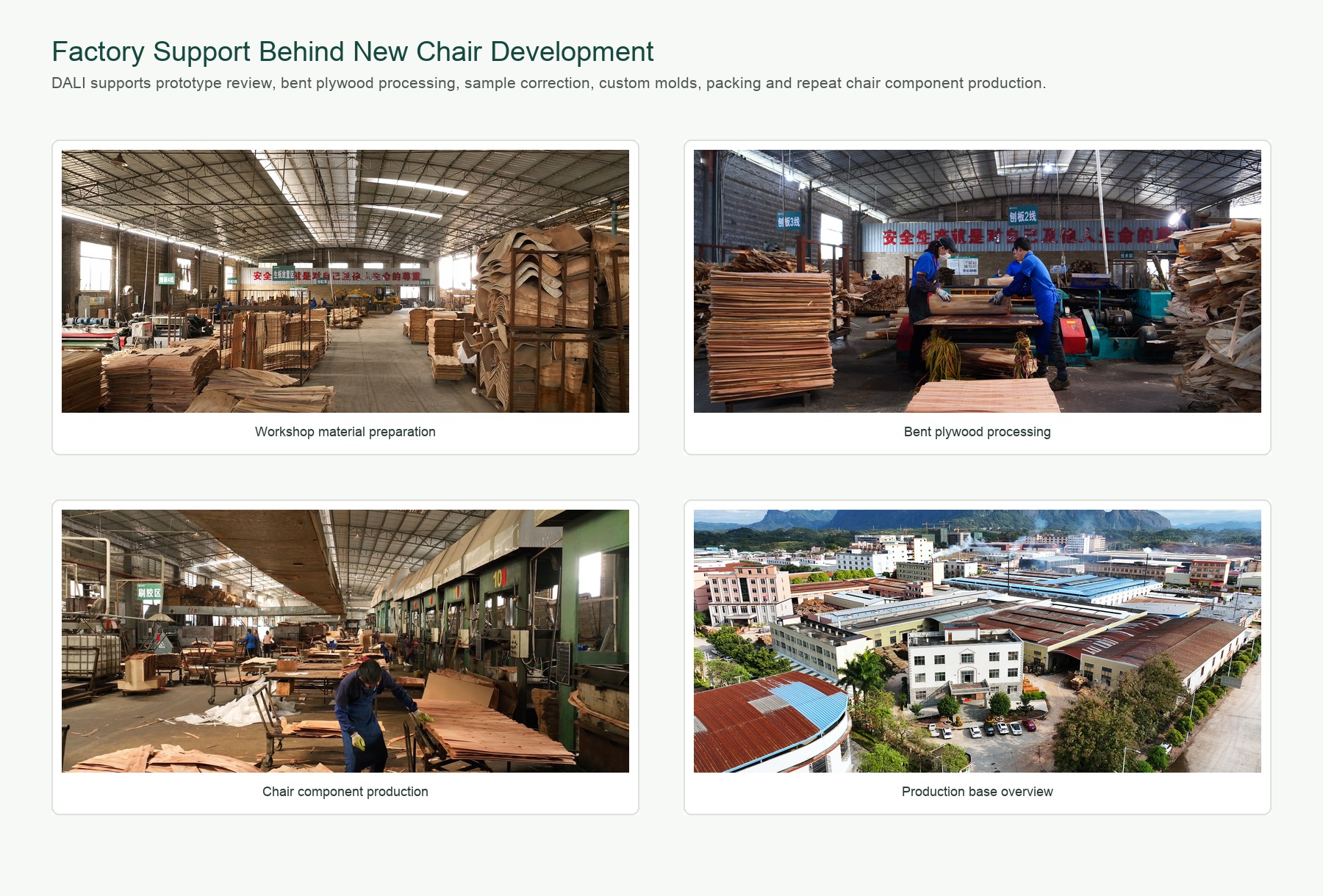 DALI factory support for new chair samples bent plywood processing custom molds and production.