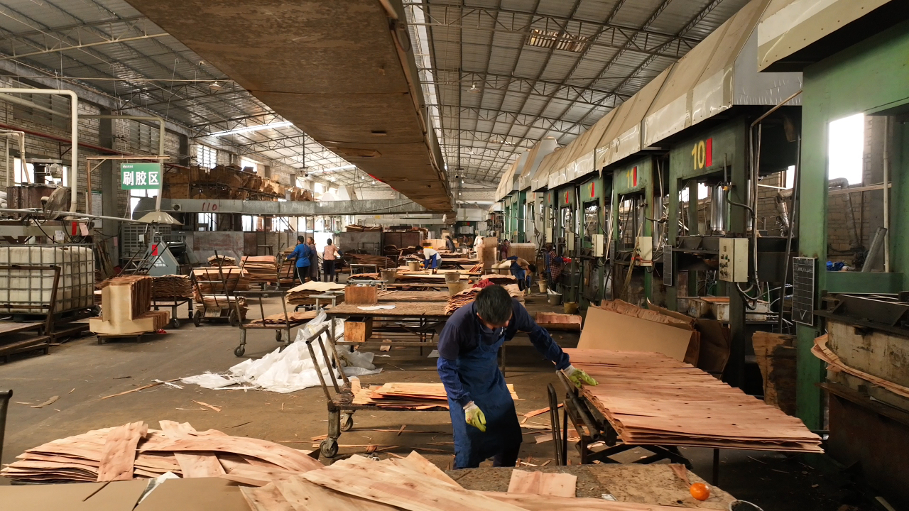 Real DALI Wood factory workshop with veneer preparation and multiple hot presses.