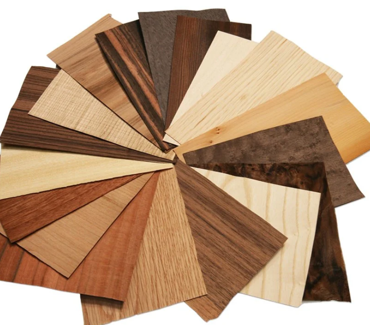 1765811574210457.png eames plywood chair-Common Veneer Species.png